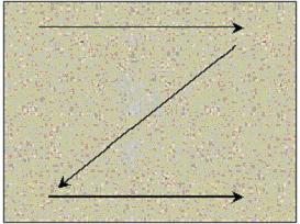 Figura 3.