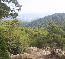 Μπρείτε να περάσετε τις διακπές σας στην Κύπρ κατά τη διάρκεια τυ έτυς και τ νησί αυτό απτελεί τ ιδανικό μέρς για διακπές αφύ υπάρχυν δραστηριότητες για όλες τις ηλικίες.