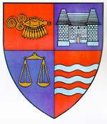 DISFUNCŢIONALITĂŢI, PROBLEME ŞI PRIORITĂŢI VOLUMUL VIII STRUCTURA