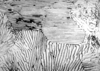 strălucitor (cementită primară), figura 6.8. 6.3.