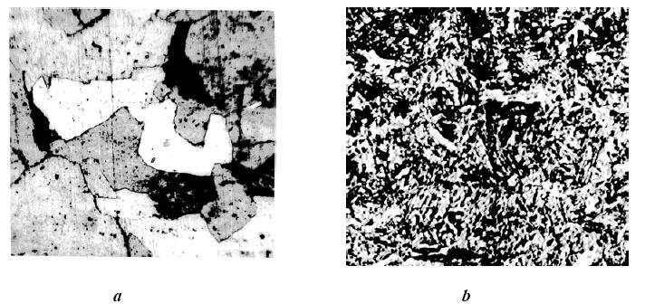 (80Crl80) sunt prezentate în figura 8.2.a,b. Fig.8.2 Structuri ale oţelurilor inoxidabile cu crom a- oţel feritic (2TiMoCr180); b- oţel martensitic (80Cr180) Oţeluri inoxidabile aliate cu crom şi nichel.