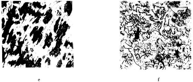 Fig. 9.3.