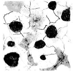 Fig. 10.5.