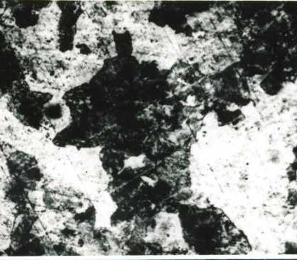 Fig.11.1. OT 450 (230-450). Grăunţi mari de perlită şi ferită. Fig.11.2. AlSi 11Aliaj ATSi11 turnat.