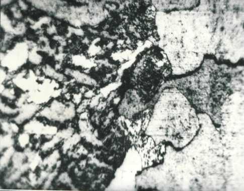 Trecerea de la subzona de supraîncălzire cu grăunţi mari la cea de normalizare cu grăunţi mici se observă în figura 11.8. Fig. 11.8. Oţel OL37 (S 235 YR) sudat.