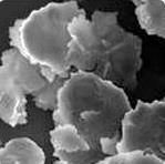 În materialele deformate plastic la rece apare defectul numit fulgi (fig.