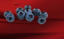 doza zilnică 1 capsulă 3 capsule 330 mg 42,9 mg DZR 5,4% 169,65 mg mg 22 mg