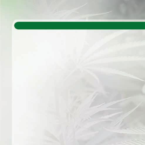 35 medicannabis (Cannabis sativa) ulei De ce este legală cânepa (Cannabis sativa)? Cannabis sativa (cânepă benefică) este un hibrid de cânepă, ale cărei seminţe nu conțin THC (tetrahidrocanabinol).