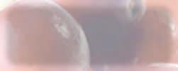 39 Afinele sunt utile în toate acele afecţiuni care implică vasele capilare, arterele și venele: tulburări de circulaţie, hemofilie, varice, predispoziţie la edeme, ateroscleroză, etc.