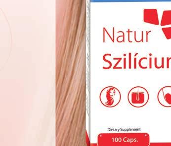 Țesuturile cutanate și subcutanate conțin cantități masive de fibre de colagen și de glicozaminoglicani.