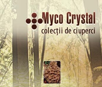 55 CIUPerCa DansaToare capsule Maitake, Grifola frondosa Supliment alimentar cu conţinut în pulbere de Ciupercă dansatoare și polifenoli.