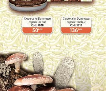 CIUPerCa lui DUmneZeU capsule Ciuperca migdală, Agaricus brasiliensis Supliment alimentar care conţine un extract obţinut din Ciuperca lui Dumnezeu și polifenoli.