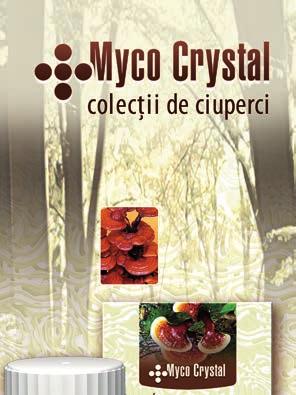 59 CIUPerCa GANODERMA LUCIDUM capsule Ganoderma lucidum Supliment alimentar cu conţinut în pulbere de ciupercă ganoderma și polifenoli.