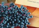eficacitatea unică a hidrogenului în comparaţie cu alţi antioxidanţi Lichidele cu conţinut ridicat în flavonoide și îmbogăţite cu