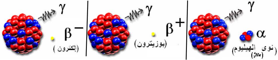 ث- مثال: الا نویة المشعة والتي تحتوي على فاي ض من البروتونات حیث یتحول فیھا :یحدث في e ت- النشاط الا شعاعي الذي ھو عبارة عن بوزتون e p n e حیث معادلة التحول ھي : بروتون إلى نیترون وتصدر إشعاع X Y e