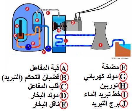- العالم بین منافع ومخاطر النشاط الا شعاعي : - - - أ- الاستخدام السلمي للطاقة النوویة إنتاج الطاقة المجال الطبي المجال الزراعي- التاریخ ب- الاستخدام العسكري النوویة للطاقة : ج- مخاطر النشاط الا شعاعي