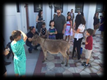 interact with others and learn more about our faith.