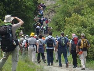 Ποιόν τίτλο θεωρείς ως τον πιο κατάλληλο για το