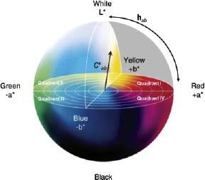 του χρώματος (0 ή 360 =κόκκινο, 90 =κίτρινο, 180 =πράσινο, 270 =μπλε, 350 =βιολετί), ενώ ο παράγοντας C* (Chroma ή Saturation) δείχνει την ένταση του χρώματος (192).
