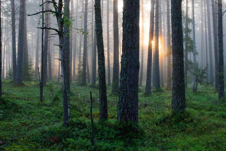 95 Ettevõtte töötajad Foto: Sven Zacek ETTEVÕTTE TÖÖTAJAD Rahvusvaheliselt tunnustatud, jätkusuutlik ja uuendusmeelne organisatsioon, konkurentsivõime tööjõuturul, tulemuslikkust väärtustav juhtimine