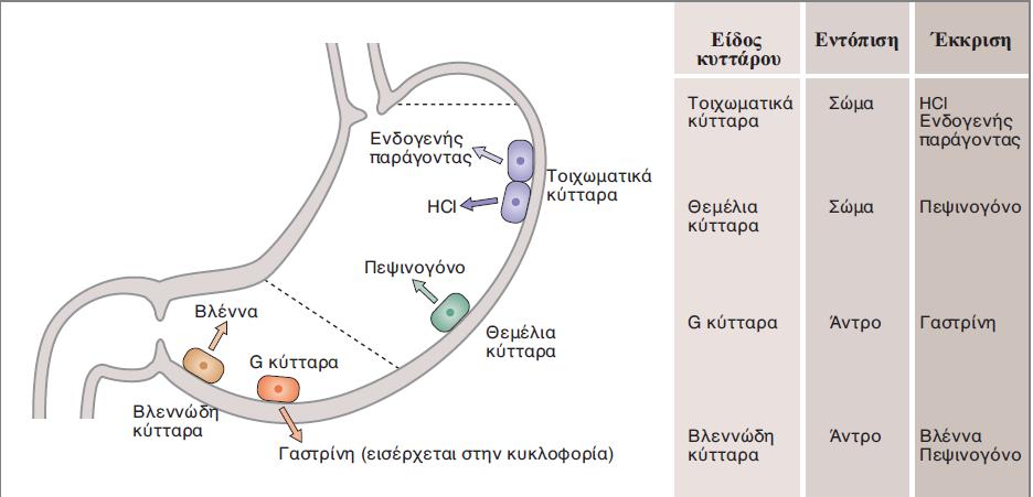 Προϊόντα έκκρισης των διαφόρων