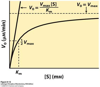 Ovisnost brzine reakcije o koncentraciji supstrata Na početku reakcije [S]<<K M v o V m kada je [S]>>K M K M, Michaelisova konstanta