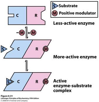 Michaelis-Mentenovim modelom ne možemo opisati alosteričke enzime Alosteričke enzime prepoznajemo prema sigmoidnom obliku krivulje. Regulacijski enzimi podliježu alosteričkoj regulaciji.