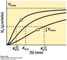 U (a) je prikazan utjecaj supstrata, pozitivnog homotropnog modulatora, na odnos aktivnosti i koncentracije