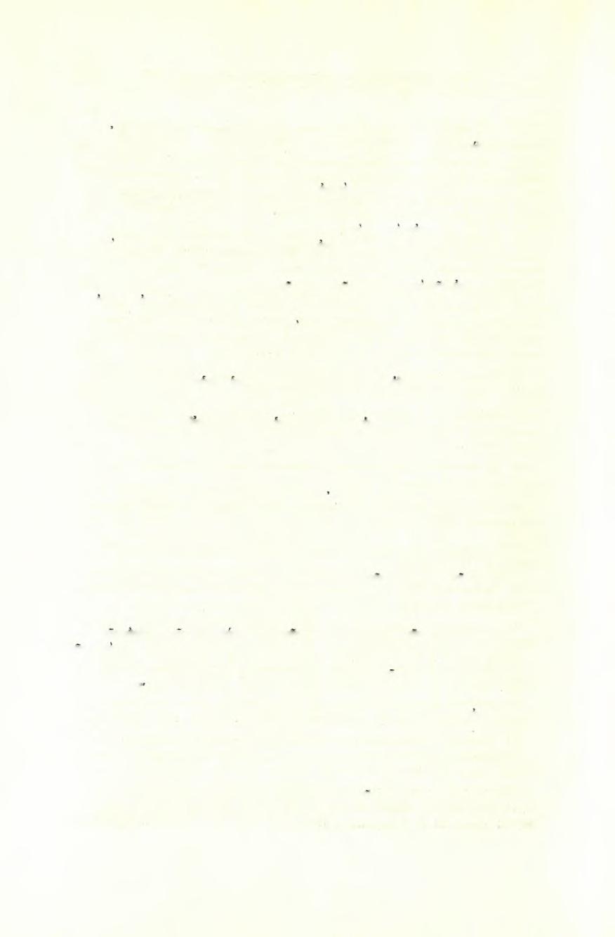 392 Πρακτικά τής Αρχαιολογικής 'Εταιρείας 1960 ΔροχμαΙ 23. Απόστολος Σ. Αρβανιτόπουλος' Γραπταί σχήλαι Δημητριάδος - Παγααών.