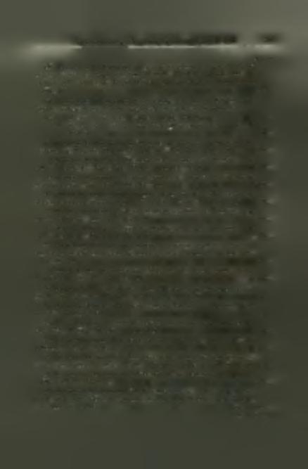 Δημοσιεύματα τής 'Αρχαιολογικής 'Εταιρείας 1837-1966 393 ΛραχμαΙ 36. 'Αναστάσιος Κ. Ορλάνδος 'Η ξυλάστεγος παλαιοχριστιανική βασιλική της μεσογειακής λεκάνης. Σχήμα 40ν, Τόμ.