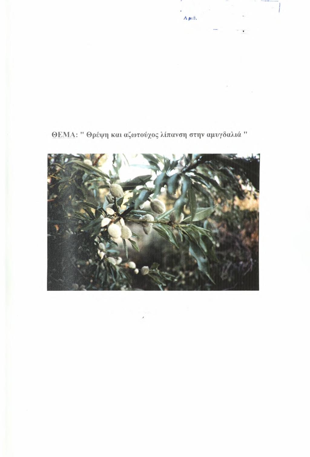I T.ViHiVi A Γ ΟΓ1θΛίΐΑΣ «υγικησ & Zi.