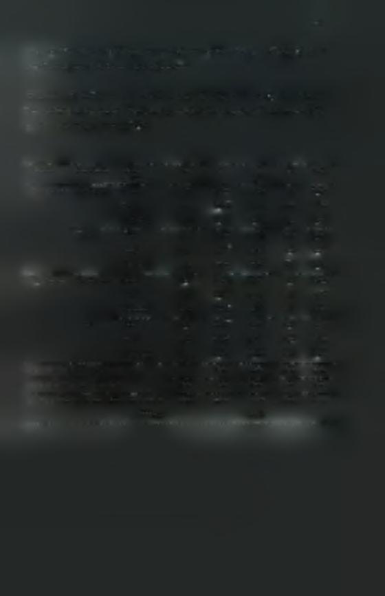 54 χλωροφύλλη β ήταν υψηλότερη στα φωτιζόμενα φύλλα.