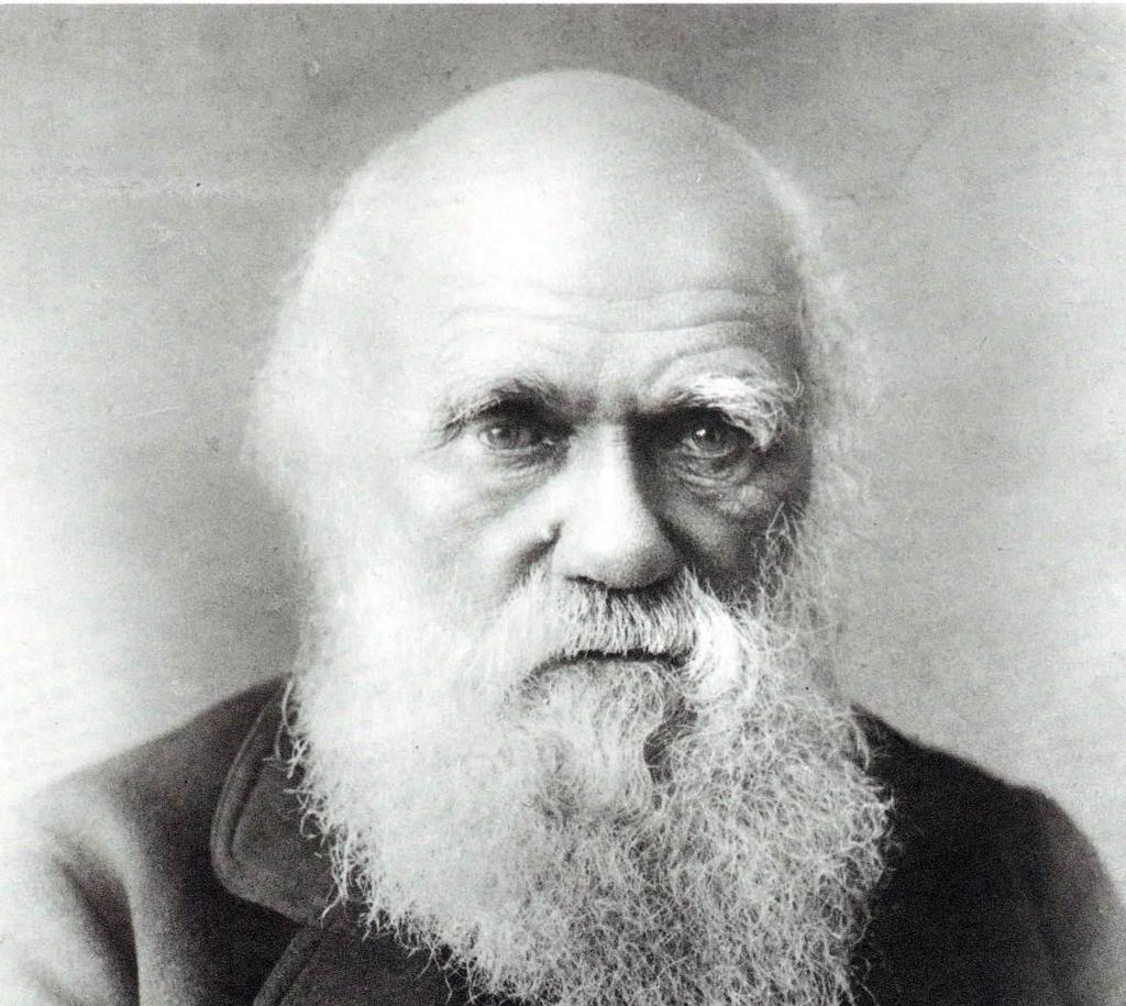 Ο Δαρβίνος Στη διάρκεια του ταξιδιού του, ο Δαρβίνος: 1. είχε τη δυνατότητα να συλλέξει ένα πλήθος από διαφορετικά ζώα, φυτά αλλά και απολιθώματα, 2.