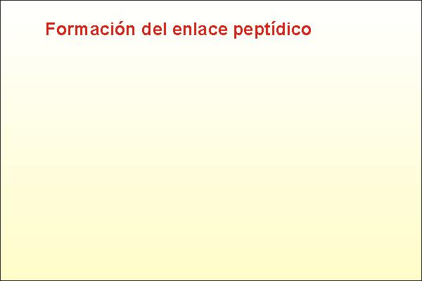 Formación do