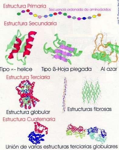 Estructura