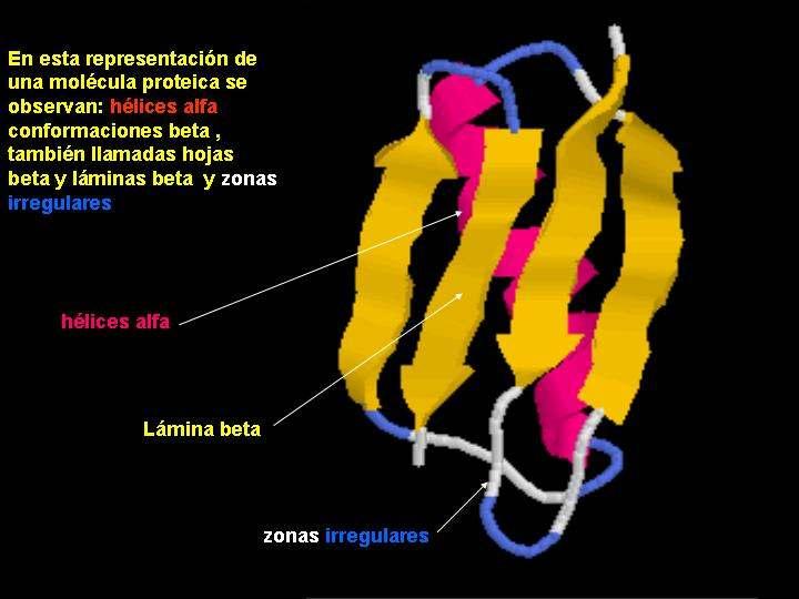 Representación dos distintos tipos de estructuras