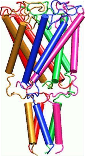 Estructura terciaria dunha proteína.