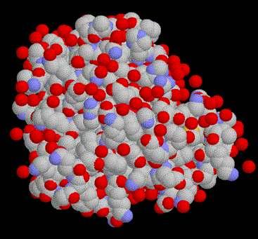 fíos os segmentos con estructura irregular Nas