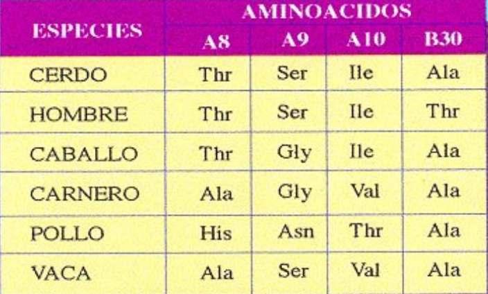 A estructura primaria define a