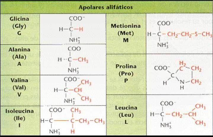 Apolares.