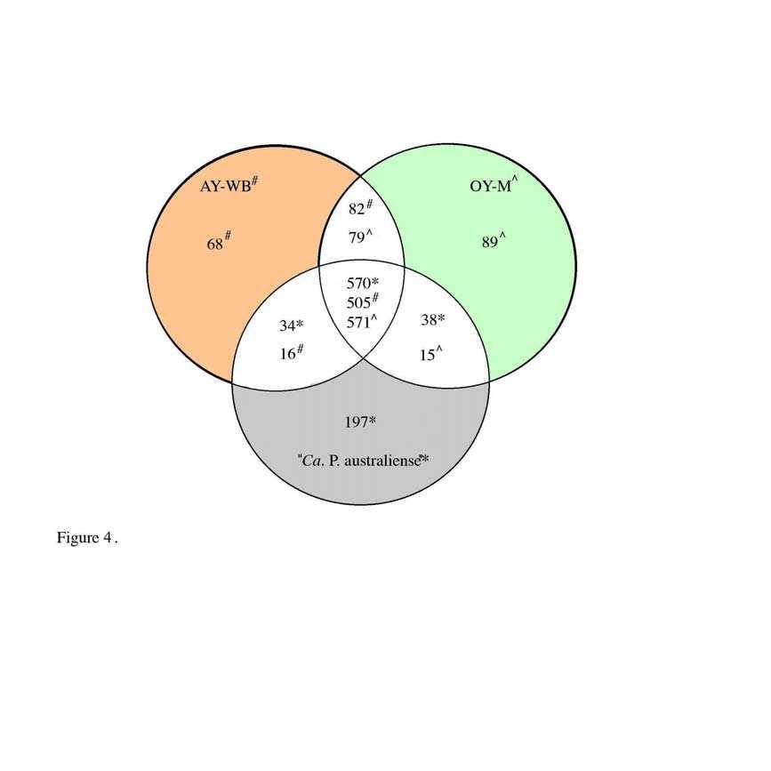1166 53