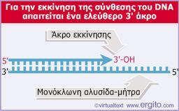 H αδυναμία της DNA-πολυμεράσης να ξεκινήσει την αντιγραφή από μόνη της