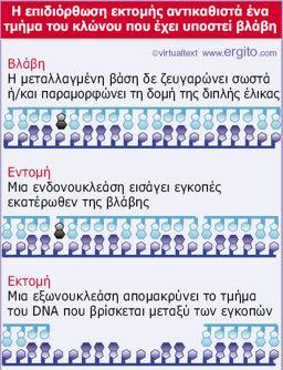 Tα στάδια της