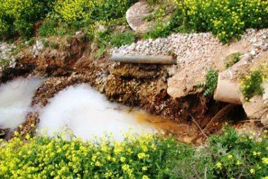 νδεγάζεη ζηελ επηβϊξπλζε ηνπ ρεηκϊξξνπ κε πςειϊ ξππαληηθϊ θνξηέα θαη ζε ζεκαληηθά ππνβϊζκηζε ηεο πνηφηεηαο ηνπο. Δηθφλα 2.