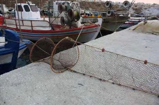 2.2.1 ΒΟΛΚΟΙ Η ΝΤΑΟΥΛΙΑ Εικόνα 14: Βολκός (διακρίνονται τα μεταλλικά στεφάνια,