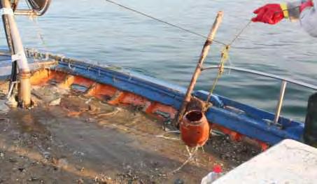 Ιωάννης) Εικόνα 27: Έλεγχος στο