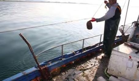 Ιωάννης) Εικόνα 30: Τέλος τα κουτιά