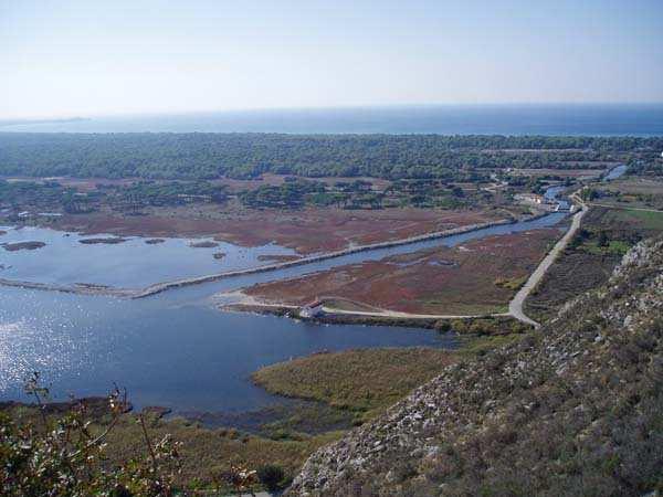 Egretta garzetta(λευκοτσικνιάς),egretta alba(αργυροτσικνιάς), Ardea purpurea(πορφυροτσικνιάς), Ciconia ciconia(πελαργός), Plegadis falcinellus (Χαλκόκοτα), Aythya nyroca(βαλτόπαπια), Neophron