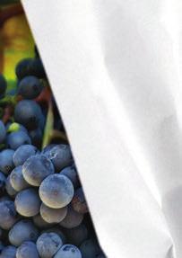 τιμή μας και καμάρι σας Wine