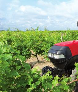 ΚΑΛΛΙΕΡΓΗΤΙΚΑ Μalvasia di Candia Aromatica Τερπένια, φαινόλες και σεσκιτερπένια χαμηλού μοριακού βάρους παραγόμενα σε ειδικούς φυτικούς αδένες πιθανώς να είναι σε θέση να διαδραματίσουν ένα πολύ
